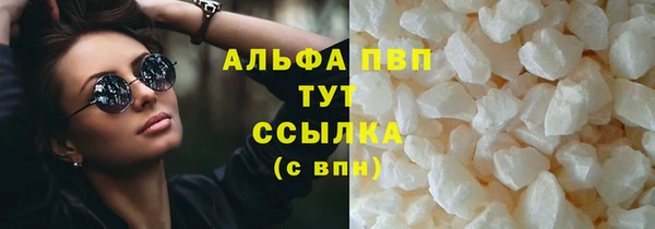 Альфа ПВП Новозыбков