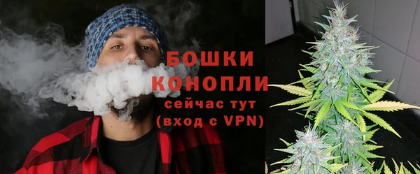 Альфа ПВП Новозыбков